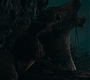 HOTN_0178.jpg
