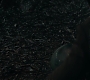 HOTN_0185.jpg