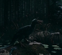 HOTN_0308.jpg