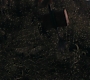 HOTN_0329.jpg
