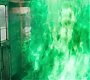 HOTN_0843.jpg
