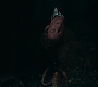 HOTN_1957.jpg