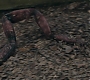 HOTN_2260.jpg