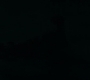 HOTN_3662.jpg