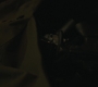 RD_0539.jpg