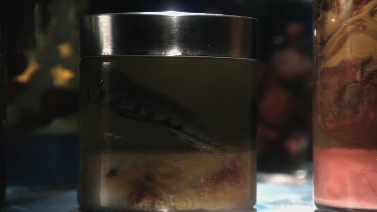 SV_0442.jpg