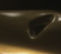 SV_0391.jpg
