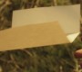 SV_1028.jpg