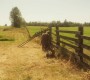 SV_1037.jpg