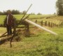 SV_1129.jpg