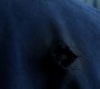 Filename=1002Smallville1097.jpg
Filesize=69KiB
Dimensions=1280x720
Date added=Oct 04, 2010 1002Smallville1097.jpg