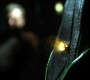 Filename=1002Smallville1154.jpg
Filesize=43KiB
Dimensions=1280x720
Date added=Oct 04, 2010 1002Smallville1154.jpg