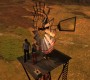 1003Smallville0631.jpg