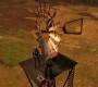 1003Smallville0633.jpg