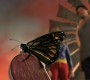 1003Smallville0678.jpg