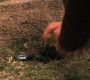 1004Smallville1517.jpg