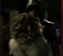 1005Smallville1008.jpg