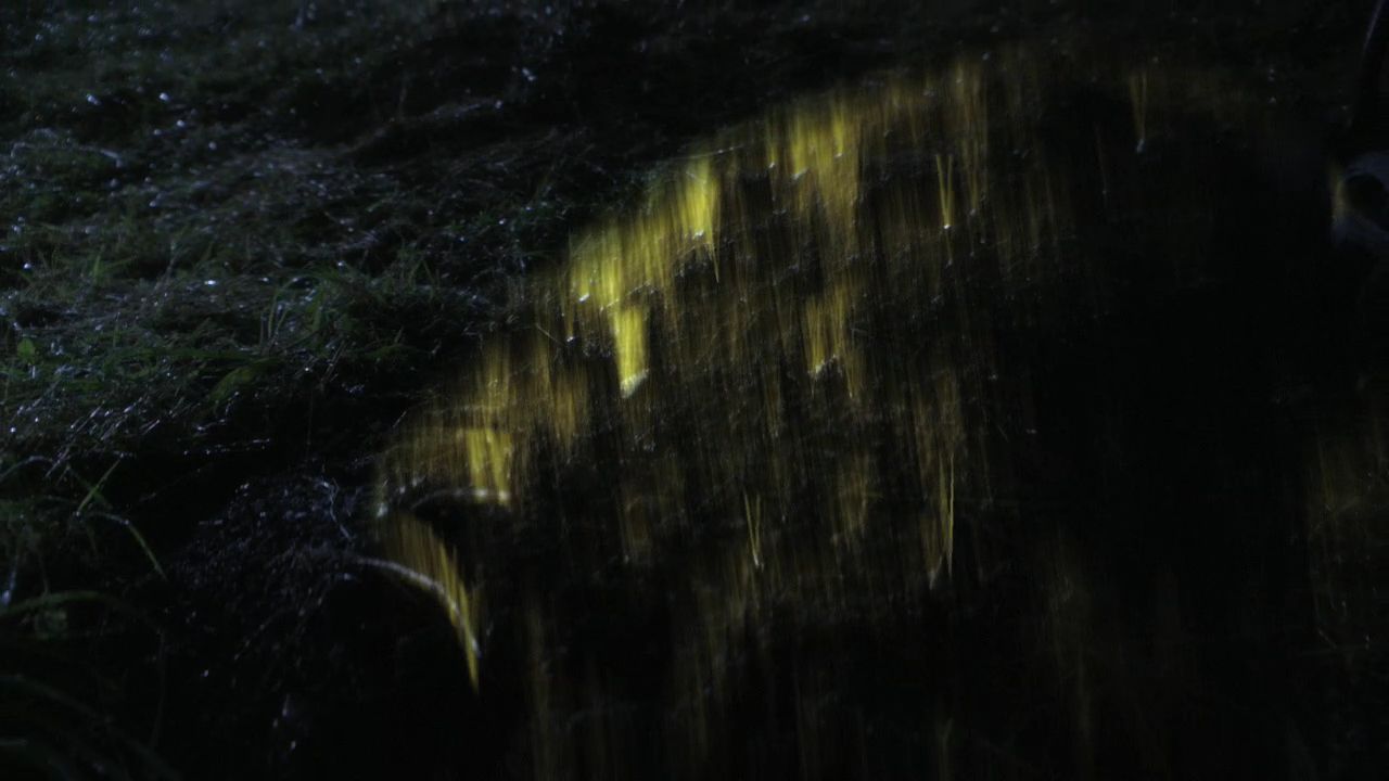 1006Smallville1114.jpg