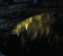 1006Smallville1115.jpg