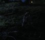 1006Smallville1118.jpg