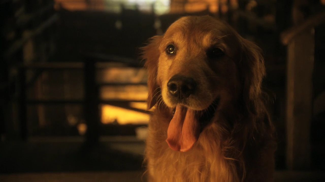 1008Smallville0695.jpg