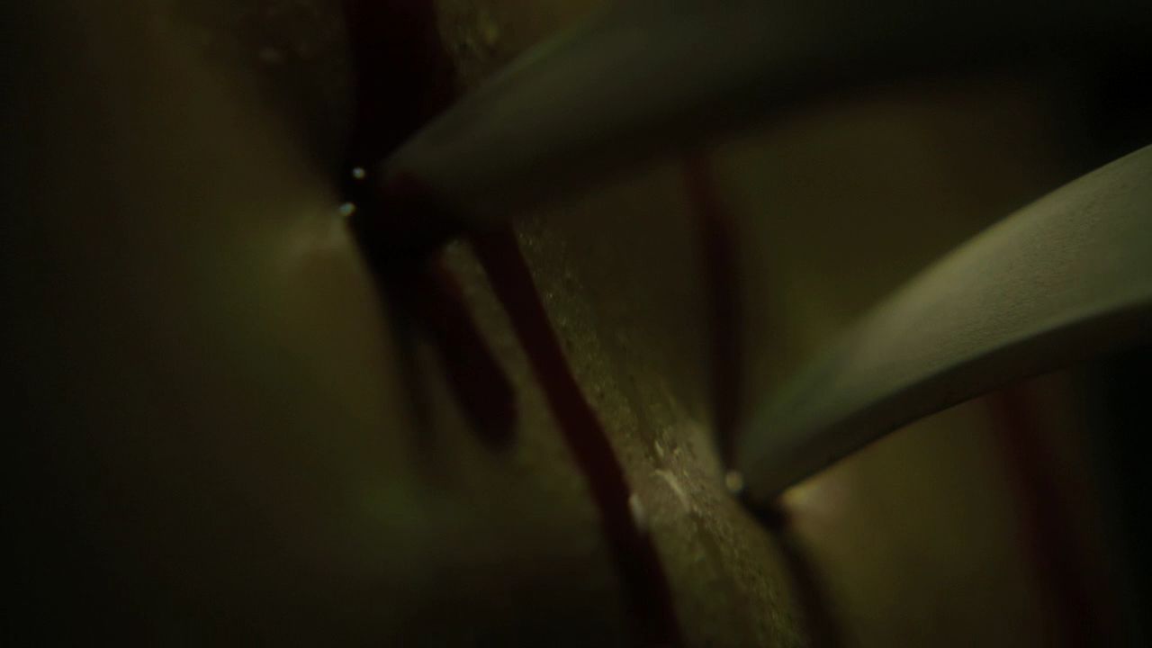 1008Smallville0941.jpg
