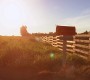 1008Smallville0673.jpg