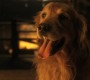 1008Smallville0694.jpg