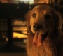 1008Smallville0695.jpg