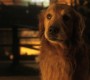 1008Smallville0701.jpg
