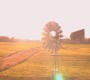 1008Smallville1194.jpg