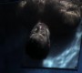 1009Smallville0856.jpg