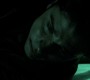 1010Smallville1455.jpg