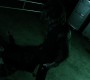 1010Smallville1483.jpg