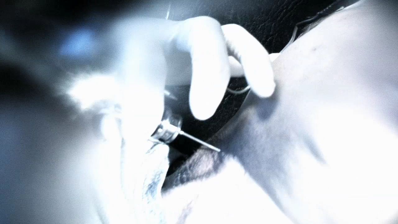 1012Smallville0191.jpg