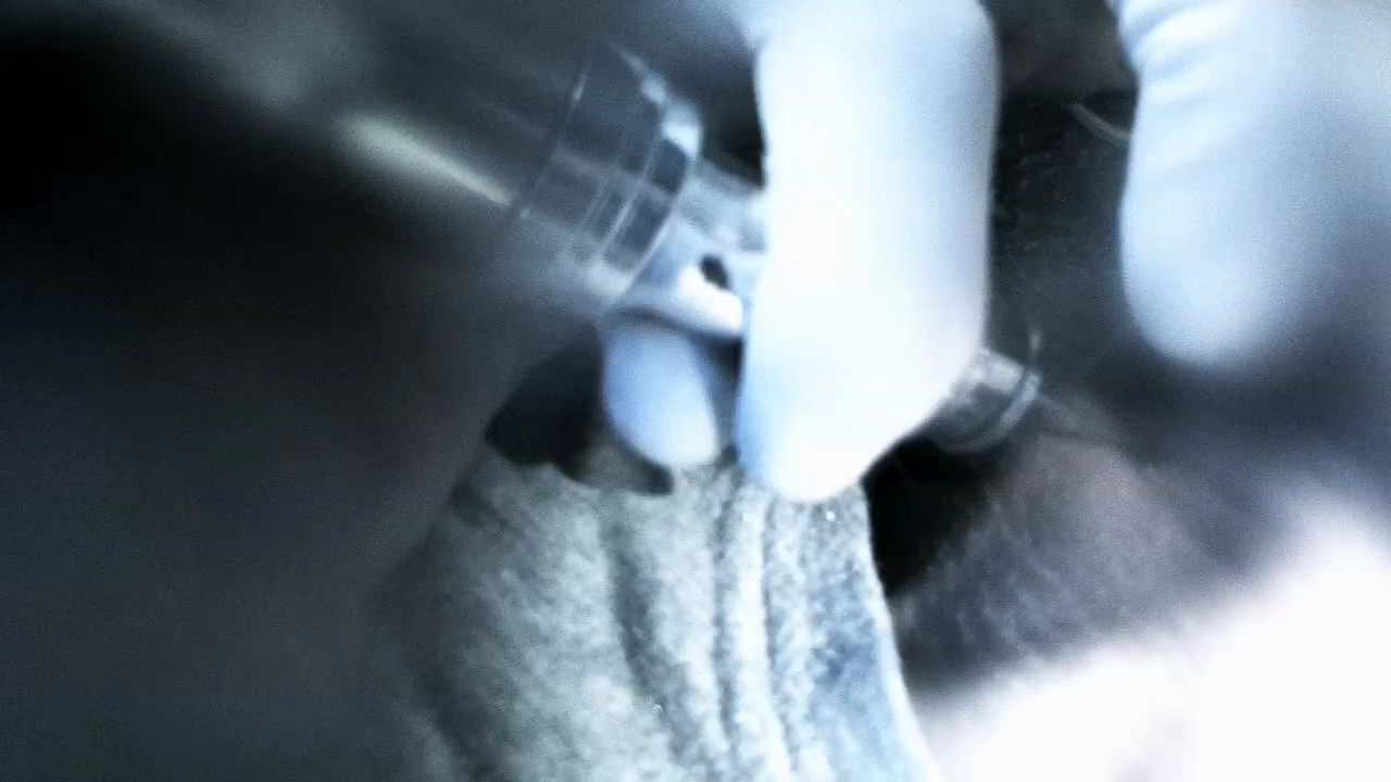 1012Smallville0192.jpg