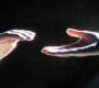 1012Smallville0688.jpg