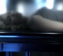 1012Smallville0756.jpg