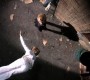 1012Smallville0812.jpg