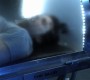 1012Smallville0920.jpg