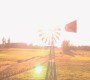 1013Smallville0200.jpg