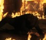 1013Smallville1213.jpg