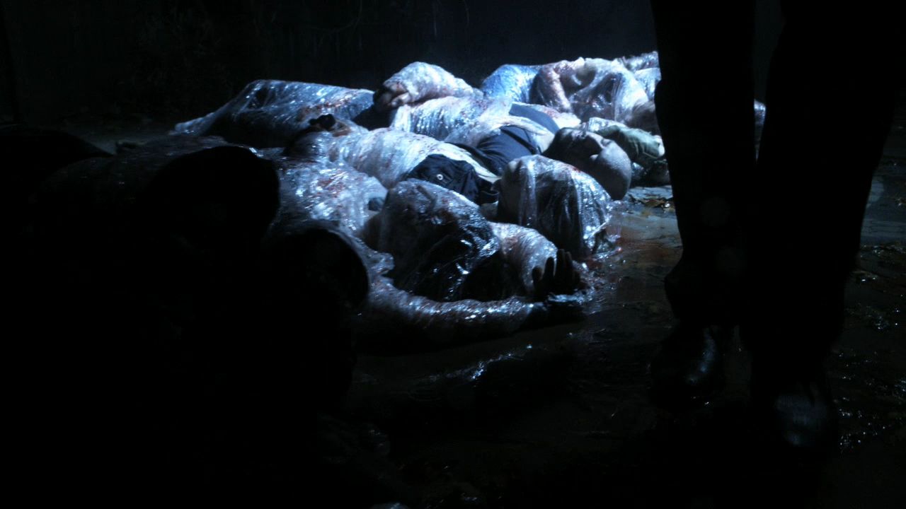 1014Smallville0410.jpg