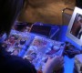 1014Smallville1490.jpg