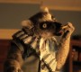 1015Smallville0132.jpg