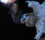 1015Smallville1064.jpg