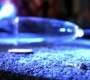 1015Smallville1113.jpg