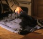 1016Smallville0618.jpg