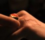 1016Smallville0776.jpg