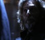 1016Smallville0974.jpg
